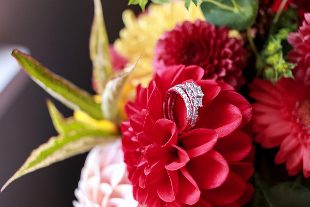 Cass Fall Wedding — Rings